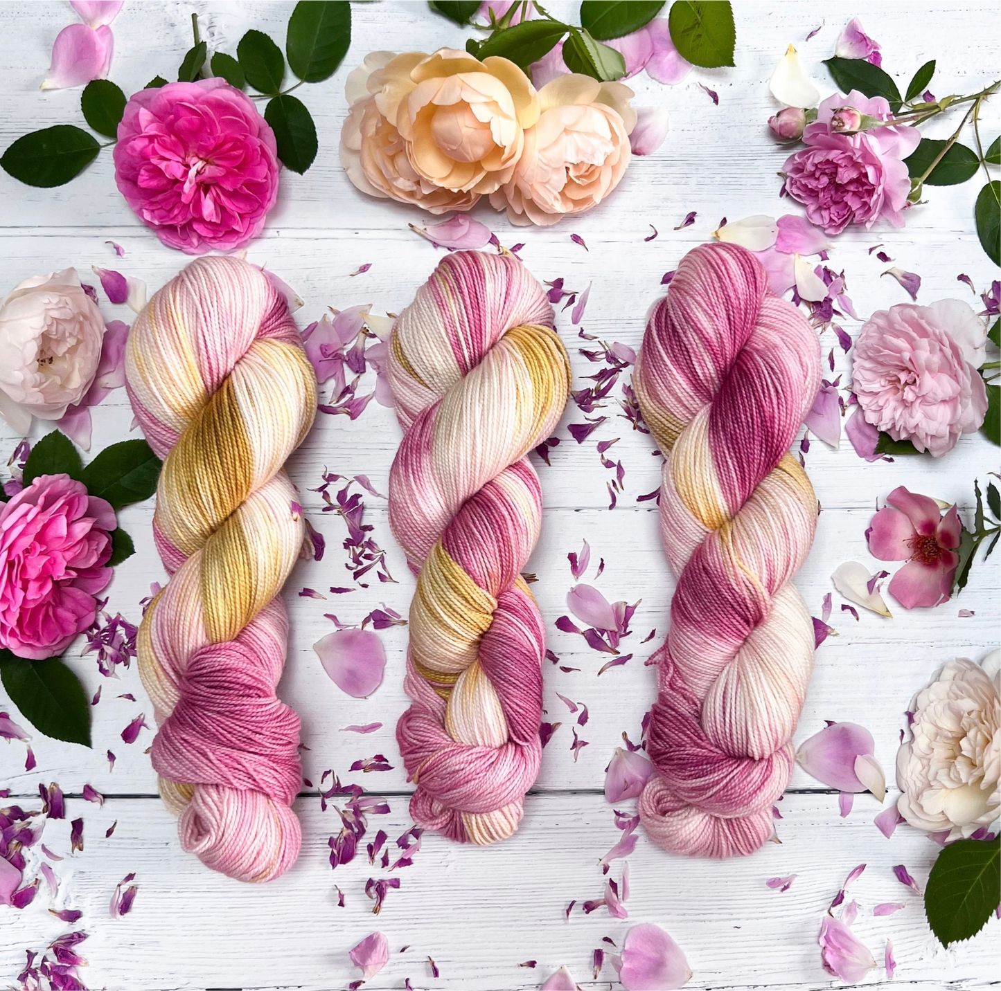 Sunkissed Roses