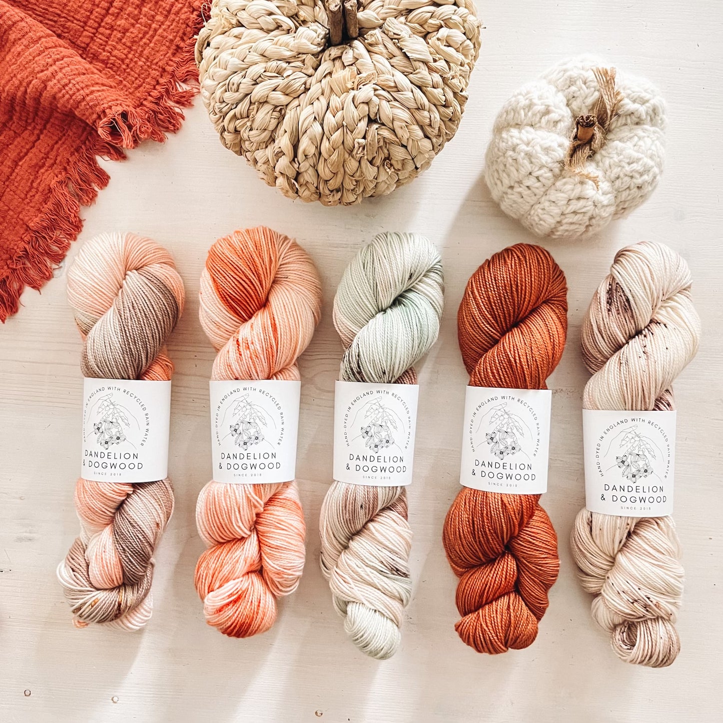 Pumpkin Collection Set