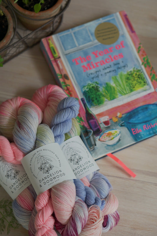 The Year of Miracles Sock Set