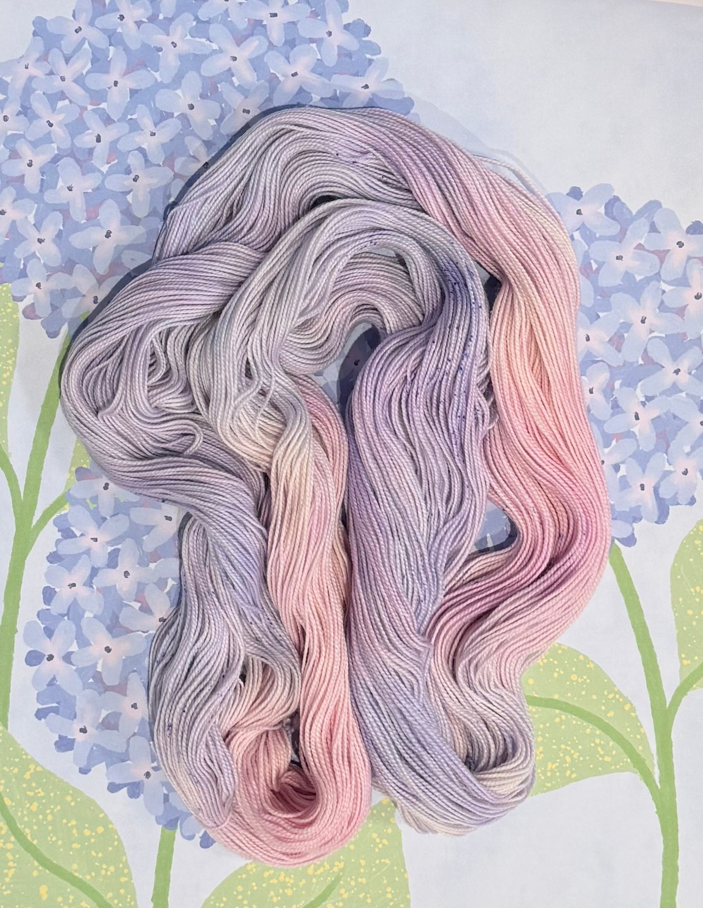 Hydrangea