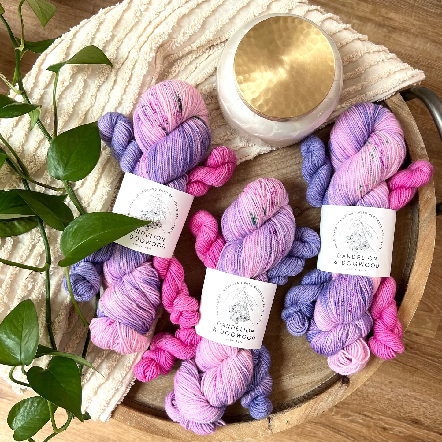 Periwinkle the Pony Sock Set