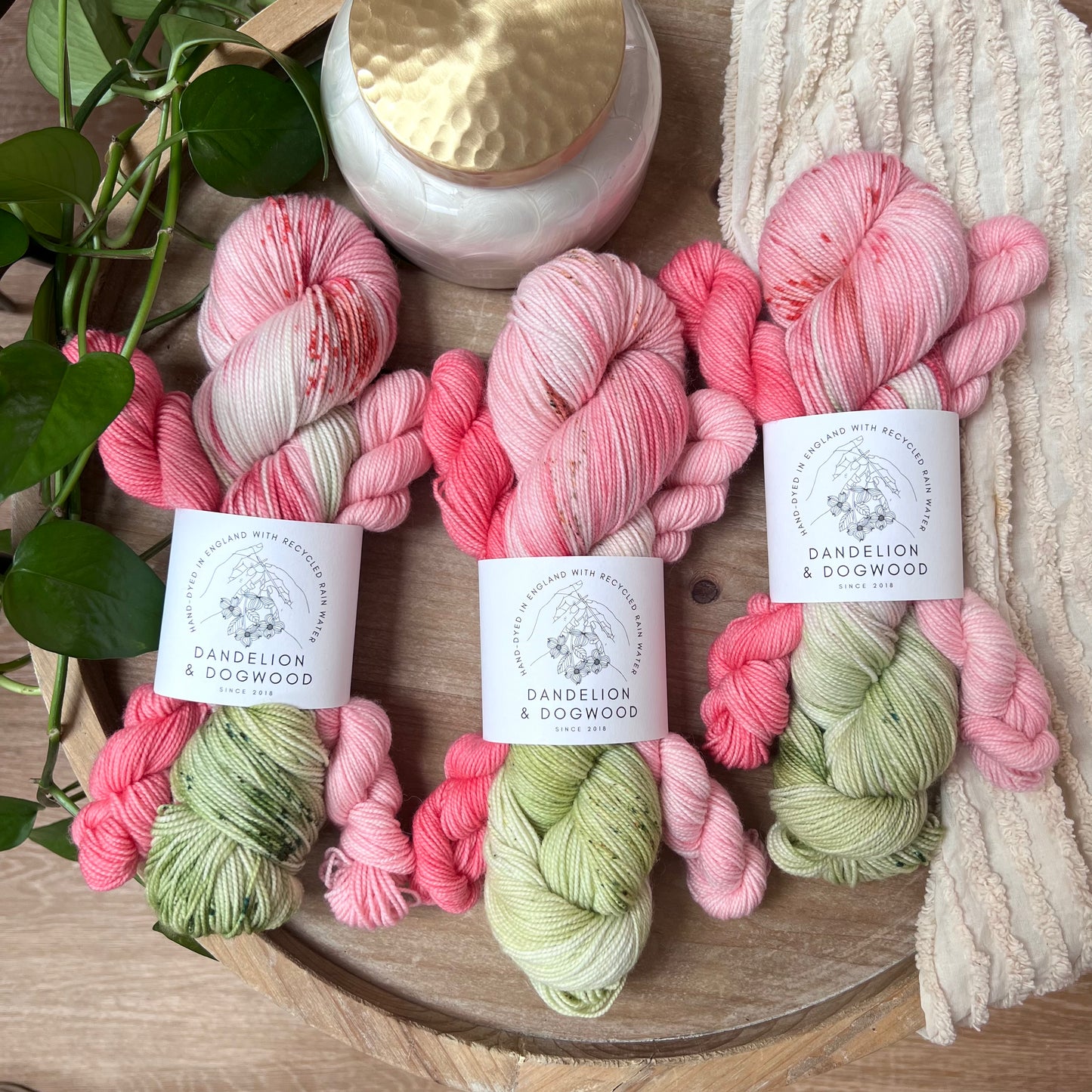 Miss Satomi Sock Set