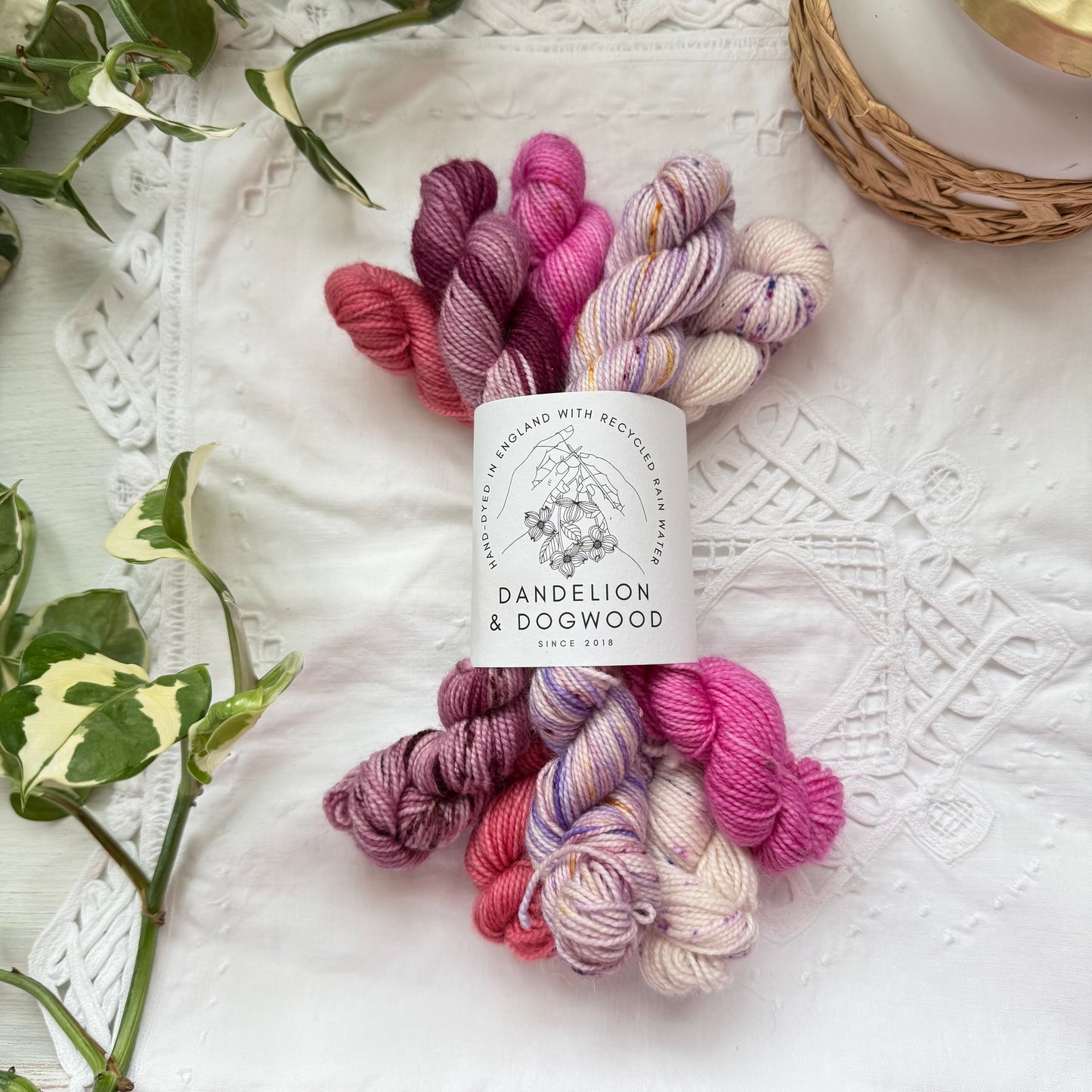 Raspberry Ripple Mini Set