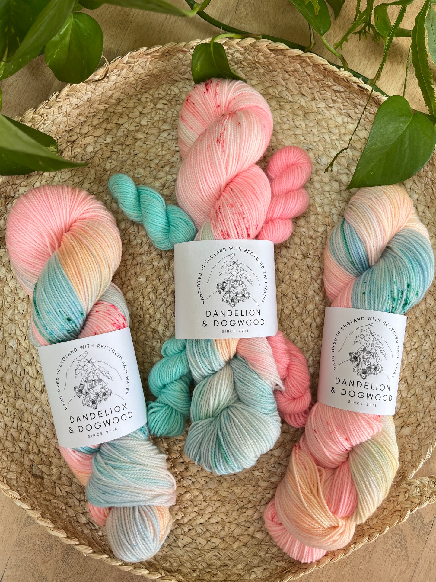 Paradise Sock Set