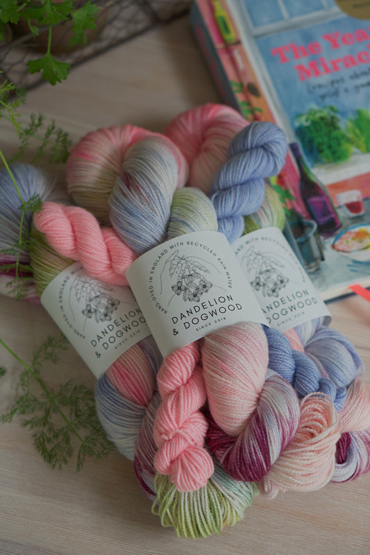 The Year of Miracles Sock Set