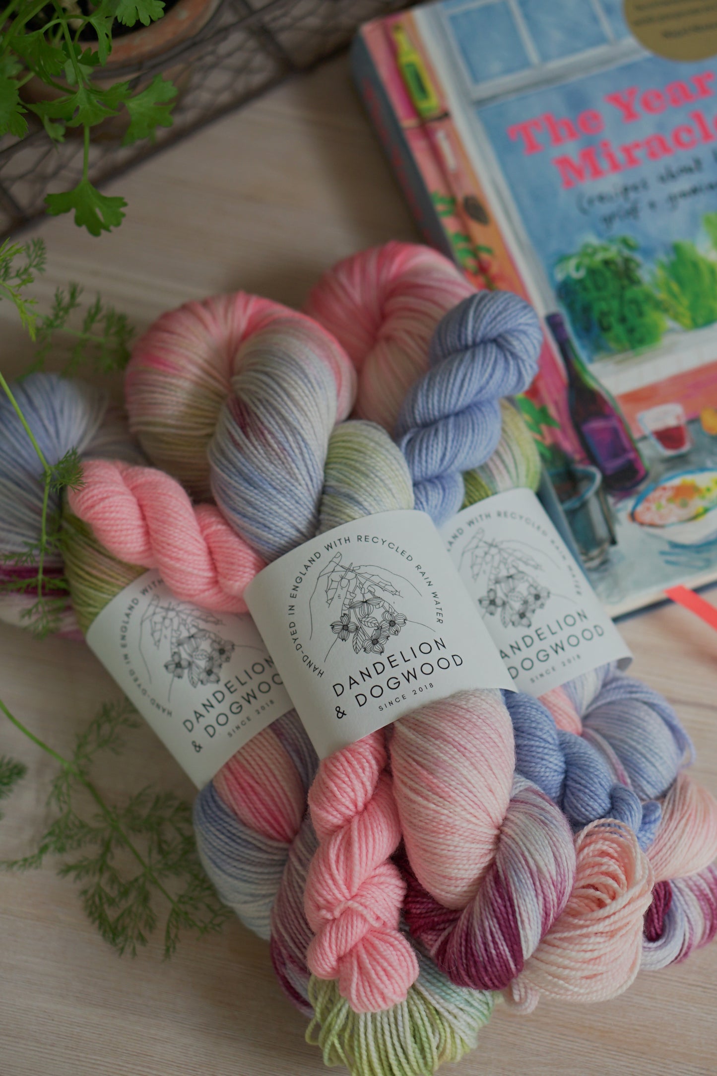 The Year of Miracles Sock Set