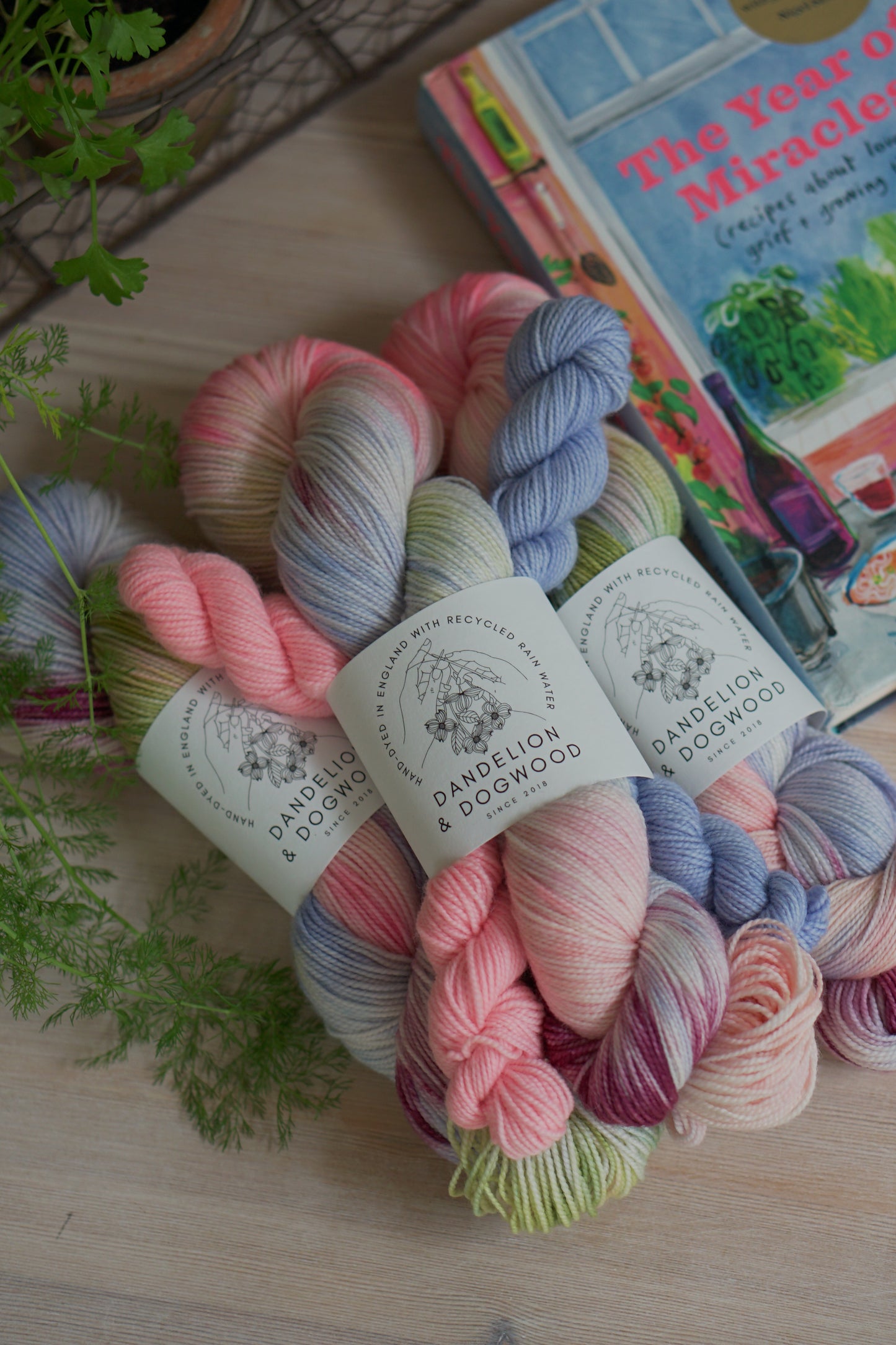 The Year of Miracles Sock Set