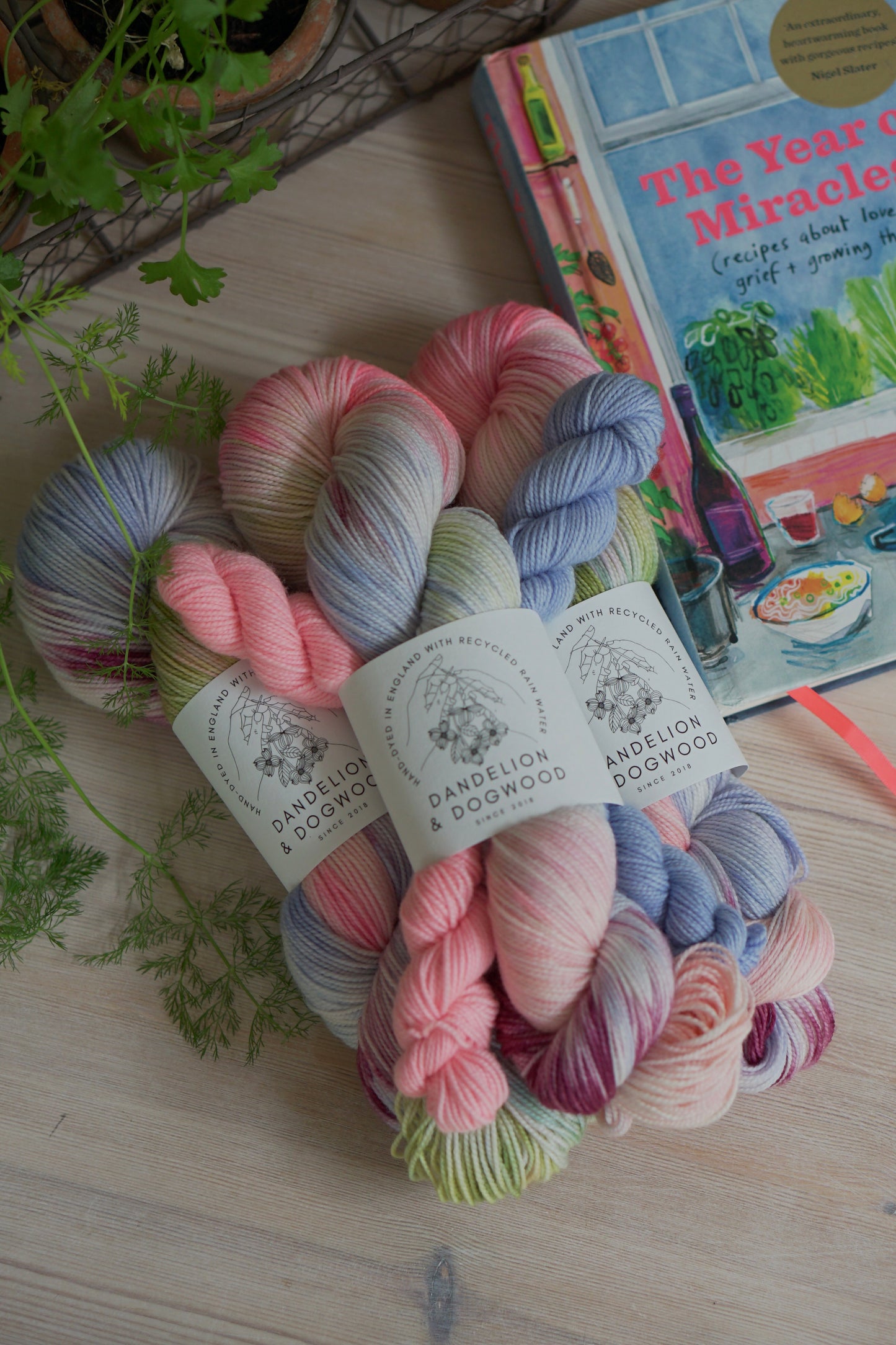 The Year of Miracles Sock Set