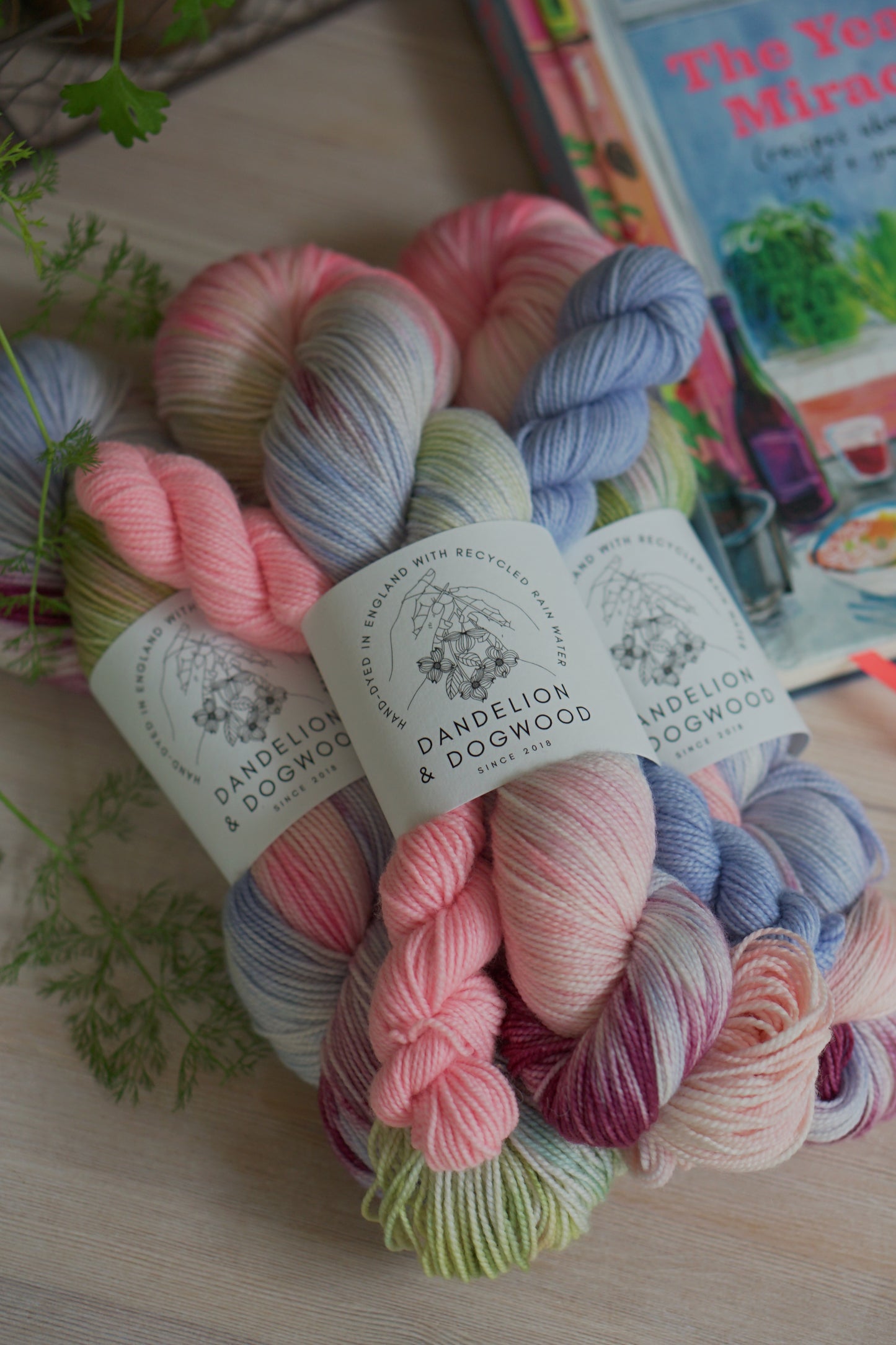 The Year of Miracles Sock Set