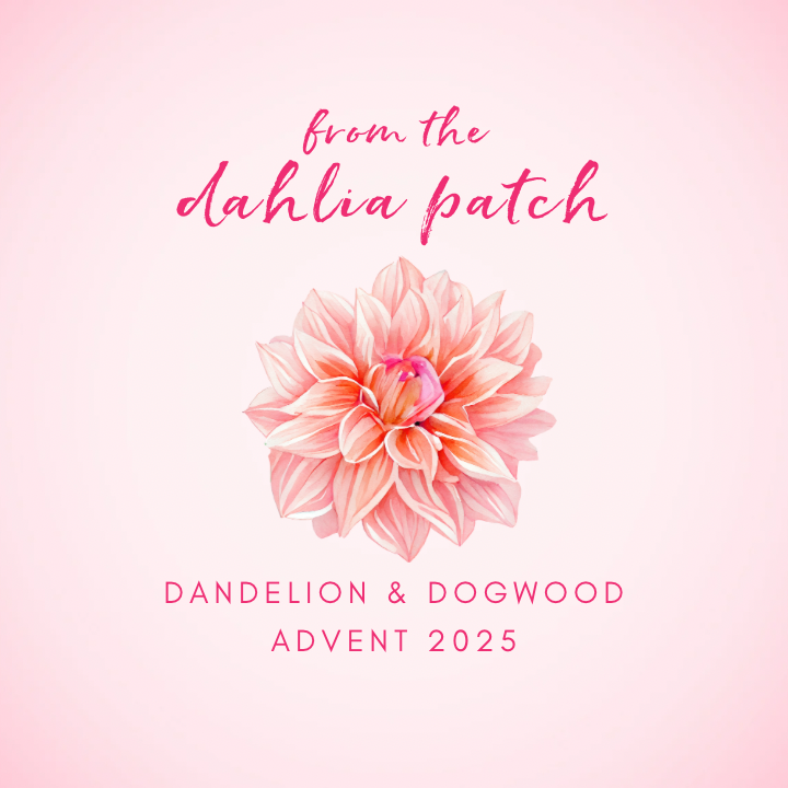 Dandelion & Dogwood ‘From the Dahlia Patch’ Advent 2025