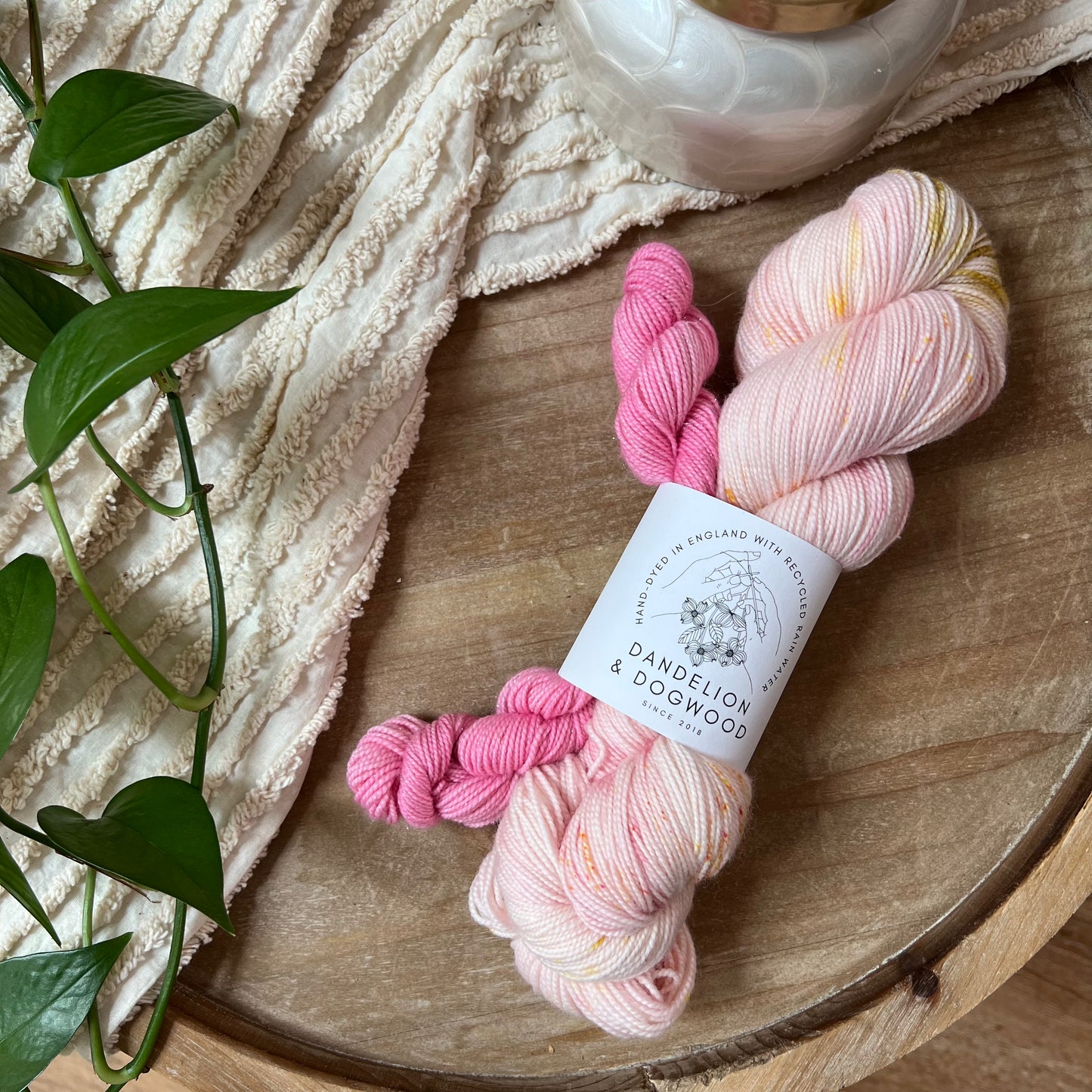 Macaron Sock Set