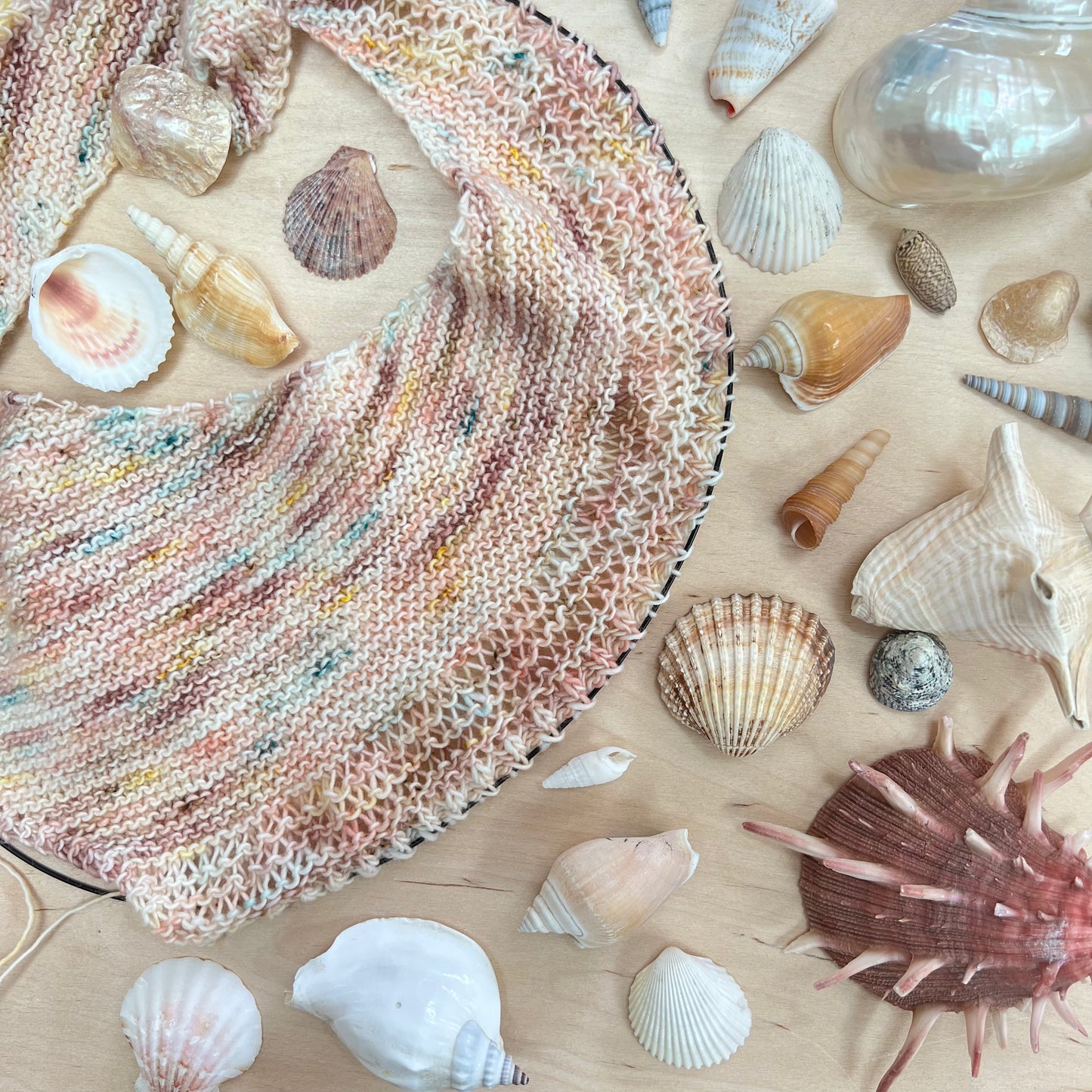 Kya’s Shells